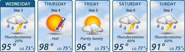 5-Day Forecast