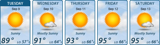 5-Day Forecast